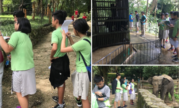 Science Lesson Field Trip
