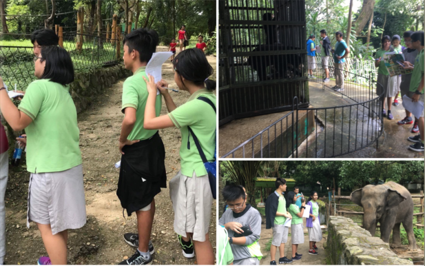 Science Lesson Field Trip