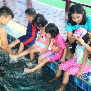 Pre-School (Ages 2-6)