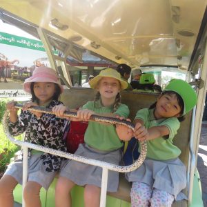 Primary students trip to zoo