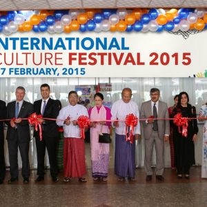 International Culture Festival 2015